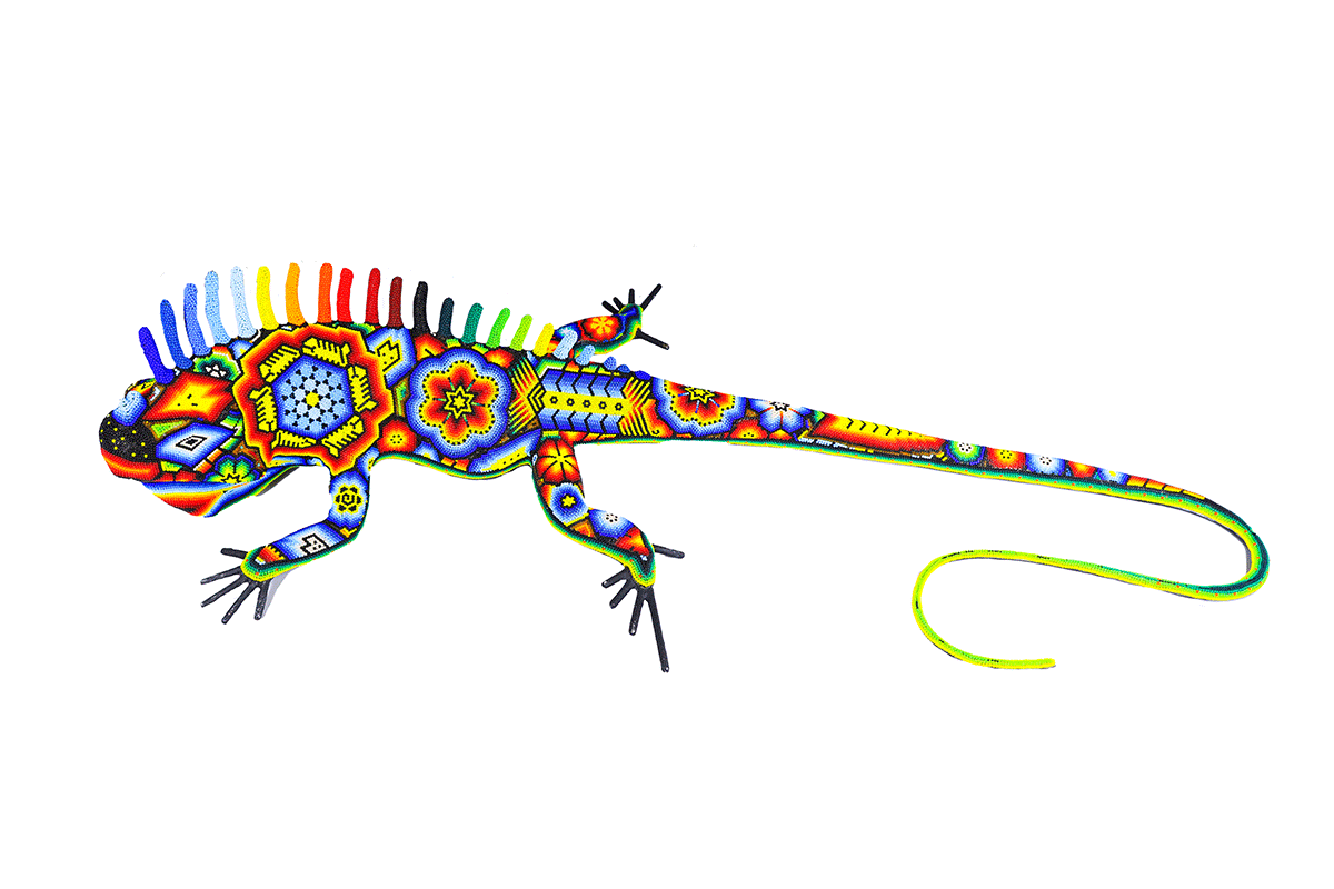 Iguana artesanal Huichol en perfil, con una exhibición deslumbrante de motivos Wixárika tradicionales hechos de cuentas en un espectro de colores brillantes.