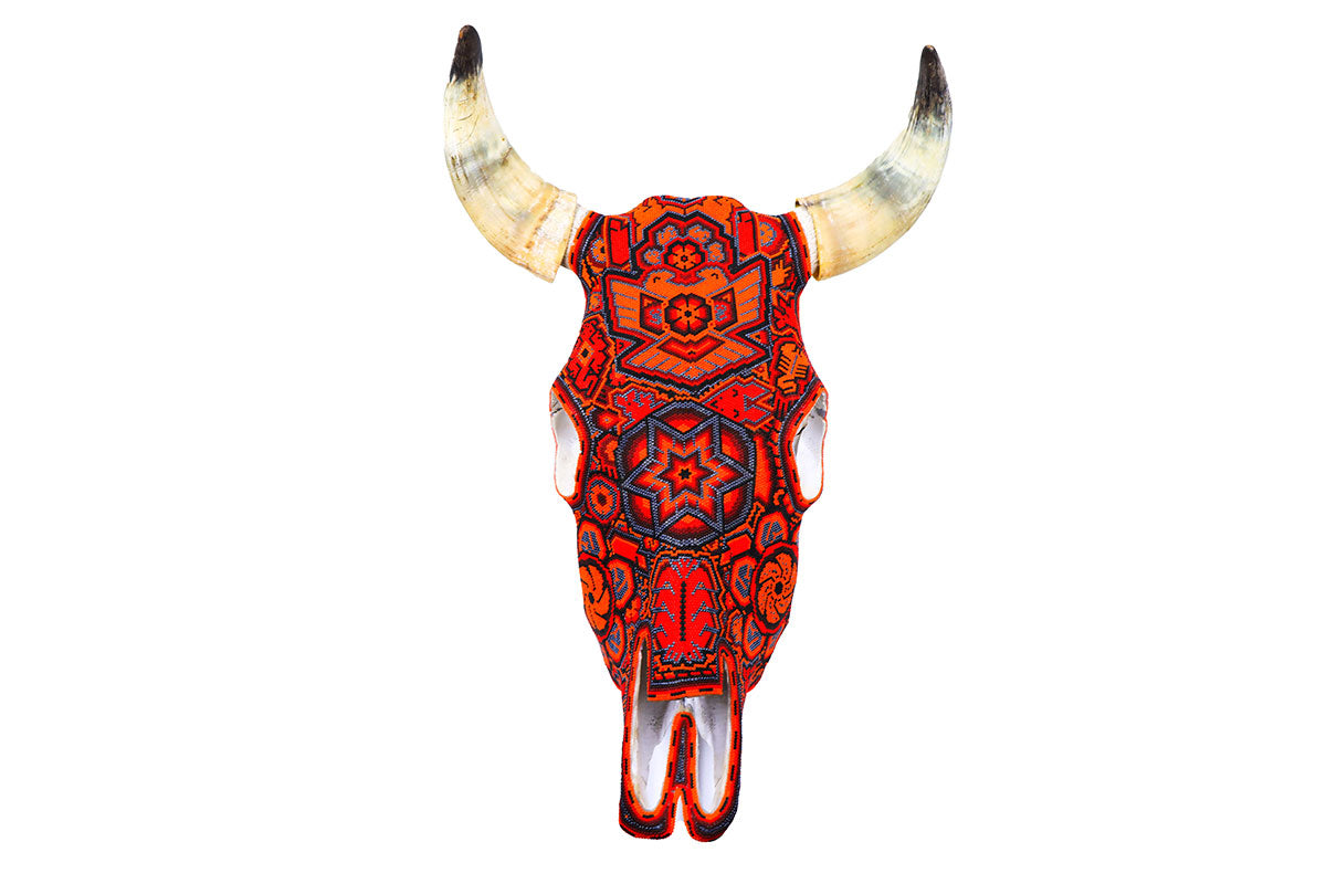 Escultura Craneo de Vaca Huichol en decoración tradicional - Detalles en chaquira multicolor | Obra de Arte Wixarika